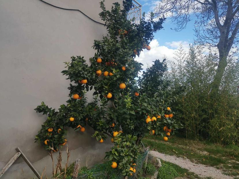 Casa indipendente, Montebello di Bertona — foto 4 di 5