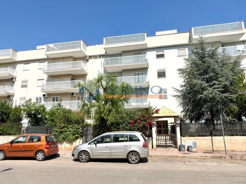 Appartamento in Viale Russia 6, Trani — foto 4 di 5