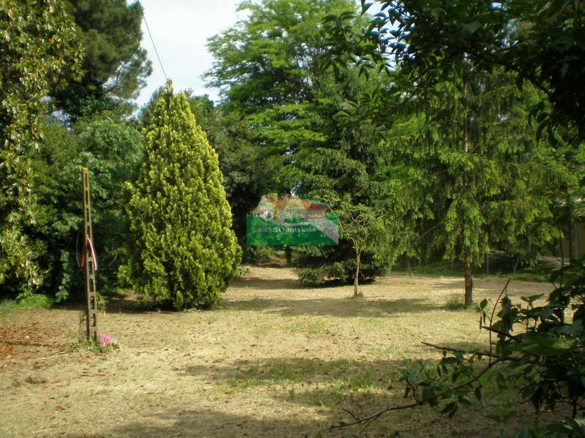 Rustico, Ravenna — foto 2 di 5