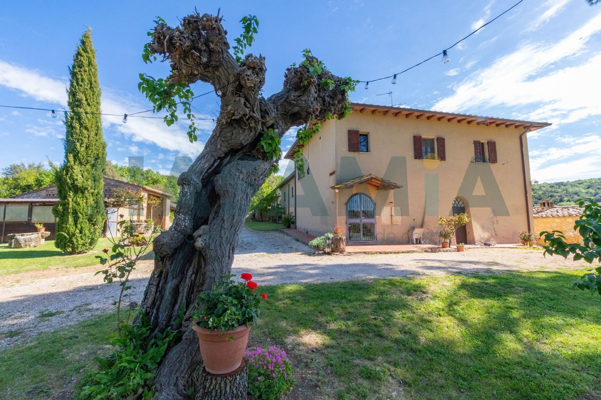 Rustico in Sp541, Sovicille