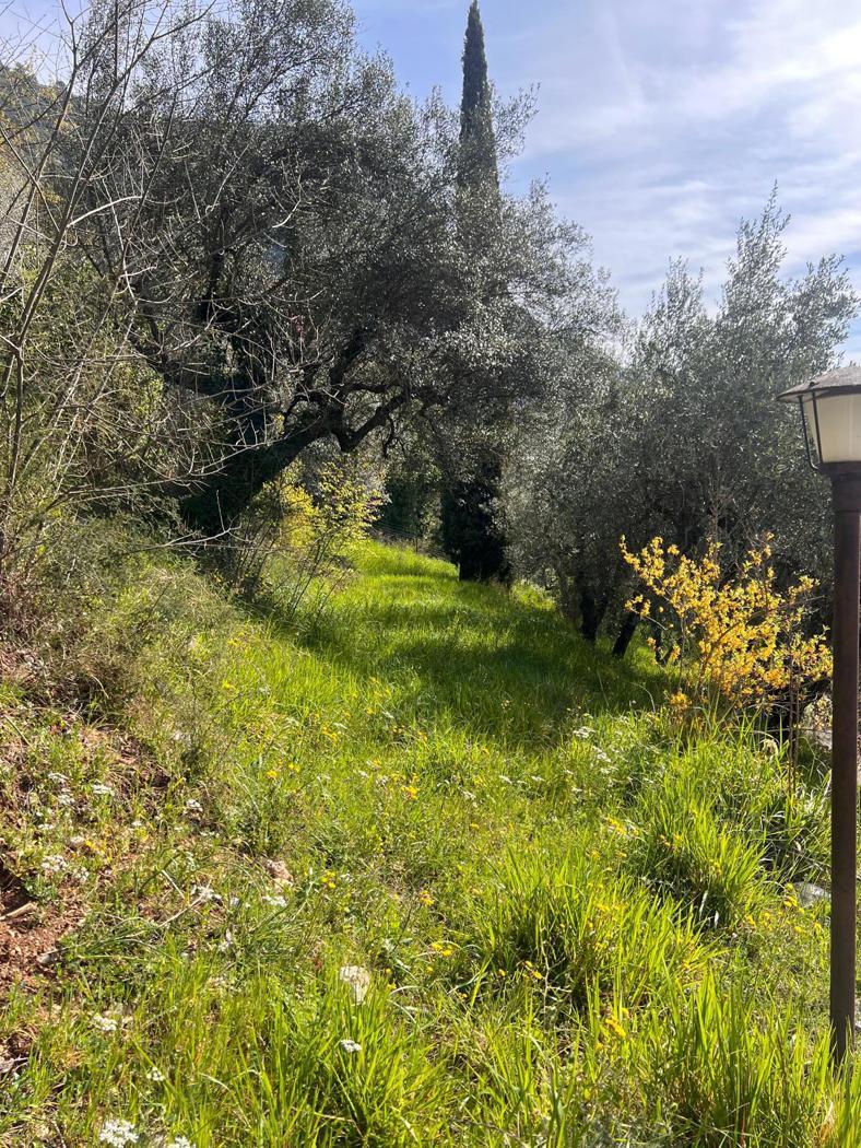 Rustico in Via della Lince, Terni — foto 5 di 5