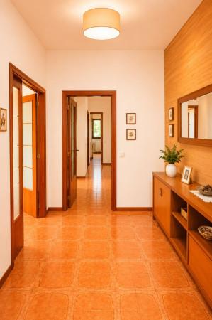 Appartamento in Via Clementina, Serra San Quirico — foto 5 di 5