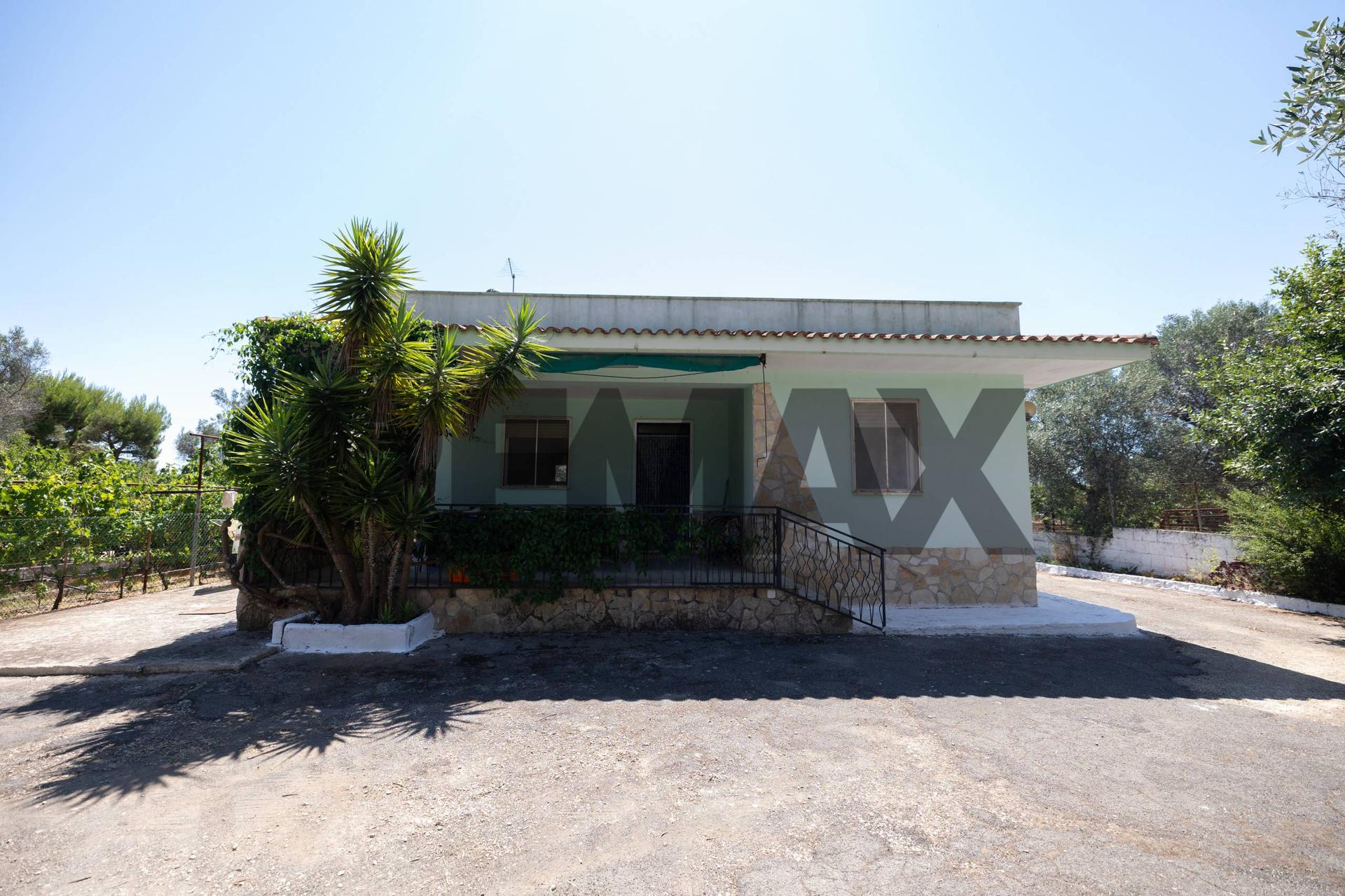 Casa indipendente, Carovigno