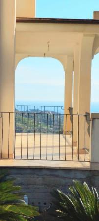 Villa bifamiliare in Strada Madonna del Carmine, Vallebona — foto 3 di 5