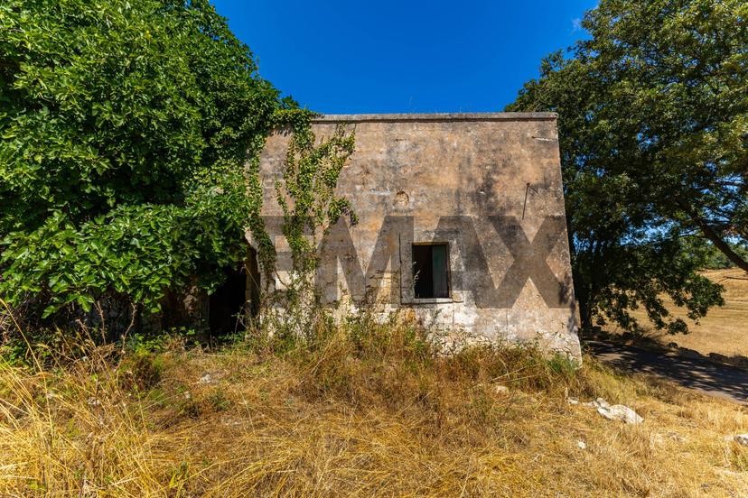 Rustico in Contrada Paretano Snc, Monopoli — foto 4 di 5