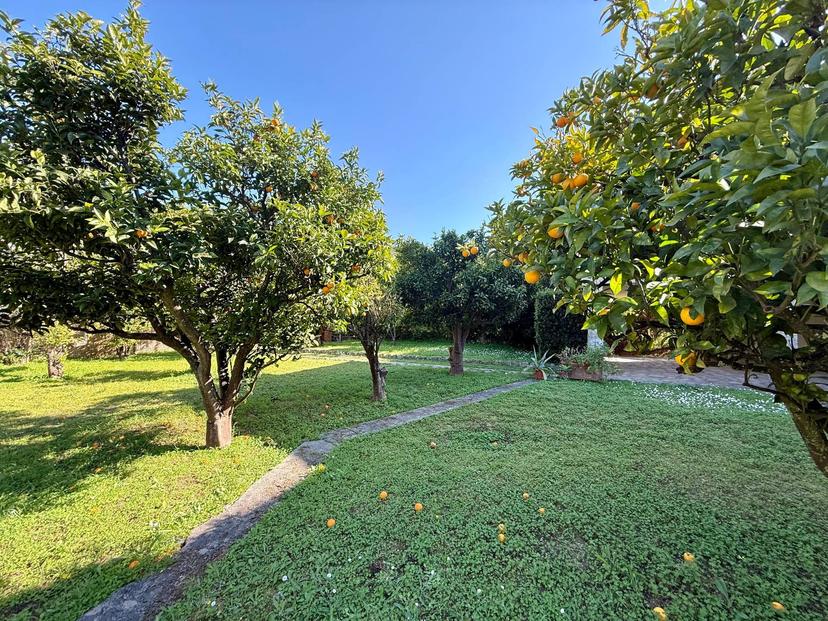 Villa, Monte Argentario — foto 3 di 5