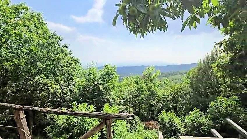 Rustico in Località Pereti, Roccastrada