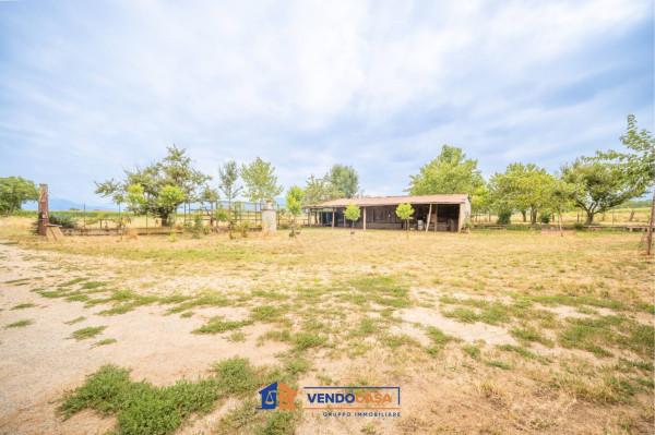 Villa in Via Plissero, Caraglio — foto 2 di 5
