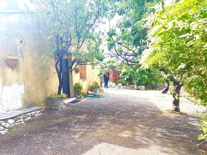 Rustico, Guglionesi — foto 2 di 5