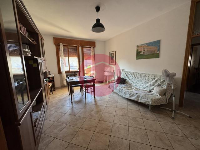 Trilocale, Gambettola — foto 3 di 5