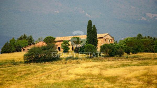 Casale in Via Vecciano, Cetona — foto 2 di 5