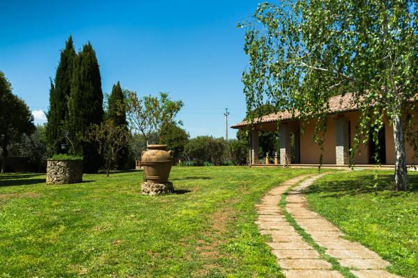 Villa, Fabrica di Roma — foto 3 di 5