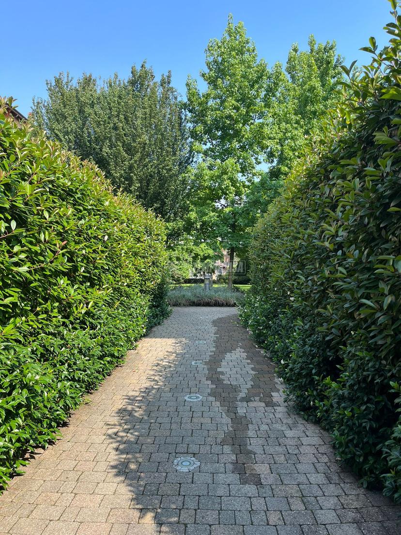 Trilocale in Via Santa Teresa del Bambin Gesù, Legnano