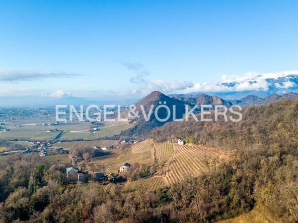 Villa in Via Vernaz, Refrontolo — foto 4 di 5