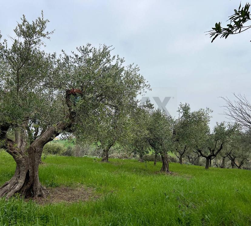 Rustico in Via Cotti 192, Sant'Eusanio del Sangro — foto 4 di 5