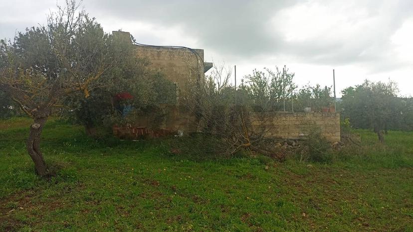 Rustico in C/da  Cirito, Chiaramonte Gulfi — foto 4 di 5