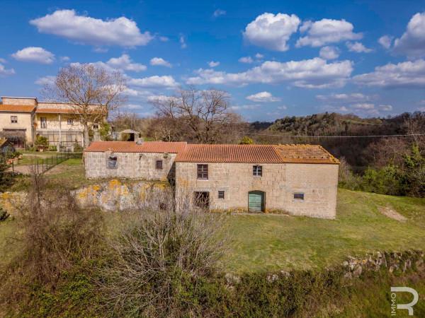 Rustico in Strada Regionale Maremmana, Pitigliano — foto 3 di 5