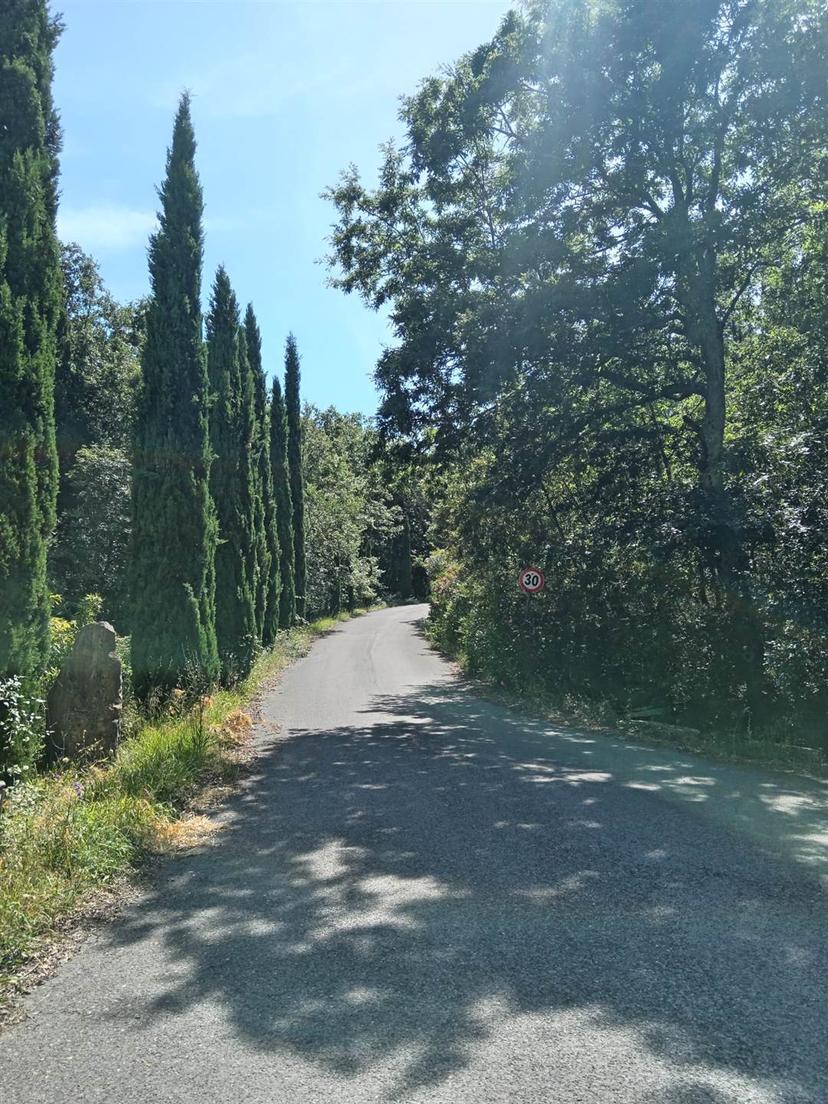 Bilocale, Castagneto Carducci