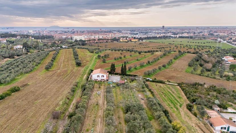 Appartamento, Livorno