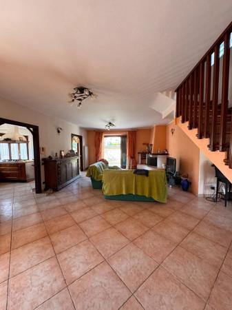 Villa bifamiliare in Via delle Camelie 38, Nettuno — foto 4 di 5