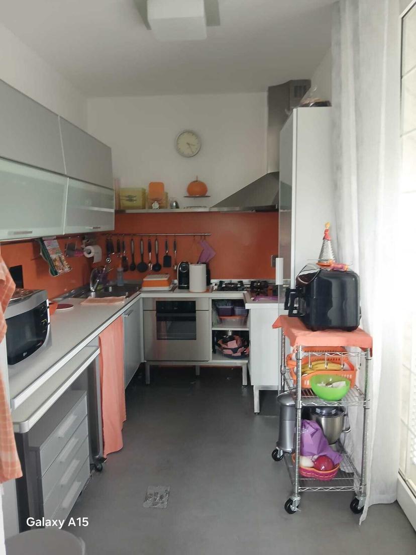 Villa bifamiliare, Sarzana — foto 3 di 5