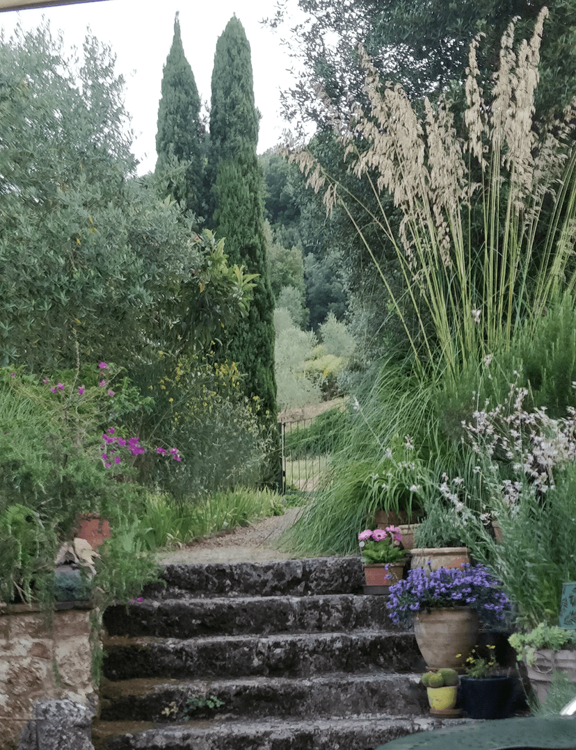 Rustico in Strada di Palazzavelli 28, Sovicille — foto 5 di 5