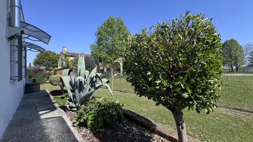 Casa indipendente, Villa Estense — foto 2 di 5