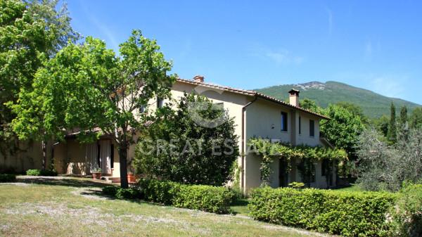 Casale in Località Borgo Matera, Cetona