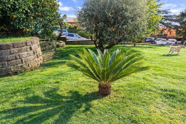 Villa in Via Carlo Alberto dalla Chiesa, Trevignano Romano — foto 5 di 5