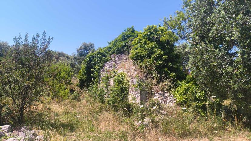 Casa indipendente in Contrada Balice, Monopoli — foto 2 di 5