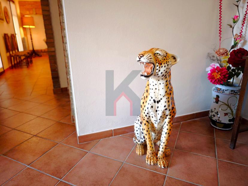 Casa indipendente, Forlì — foto 4 di 5