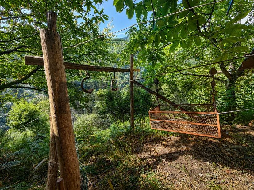 Rustico, Valle Cannobina — foto 5 di 5
