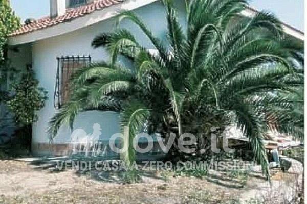 Villa in Sp15, Snc, Trinitapoli