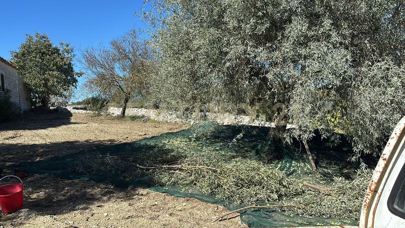 Rustico in Strada Provinciale 104, Modica — foto 3 di 5