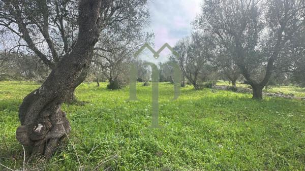 Trullo, Carovigno