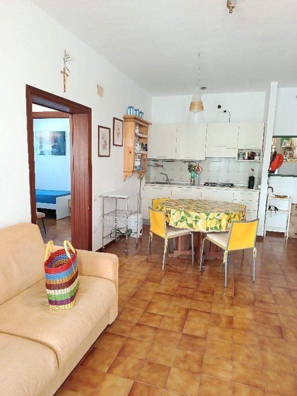 Trilocale, Rosignano Marittimo — foto 5 di 5