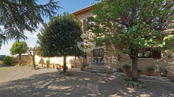 Casale in Località Guistrigona, Castelnuovo Berardenga — foto 5 di 5