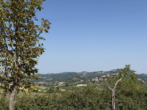 Rustico in Strada Provinciale di Ca' Simone 3, Casasco — foto 4 di 5