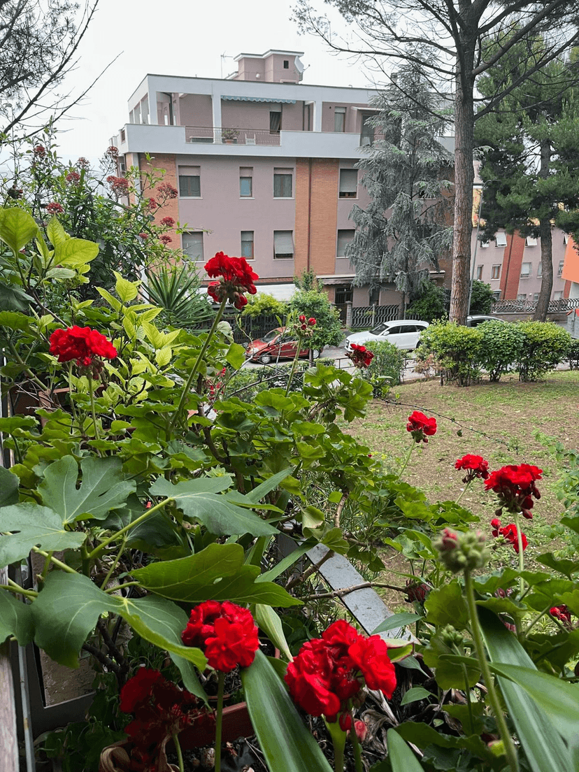 Quadrilocale in Via Galileo Galilei, Falconara Marittima — foto 3 di 5