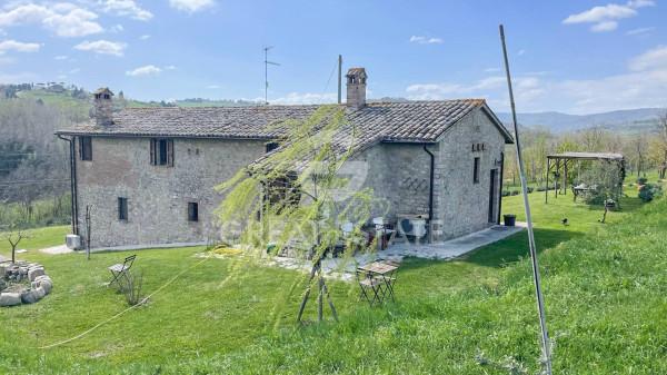 Casale, Todi — foto 4 di 5