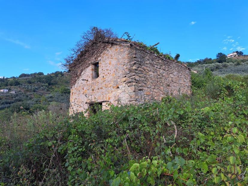Rustico in Località Cerquette 1, Bellegra — foto 4 di 5