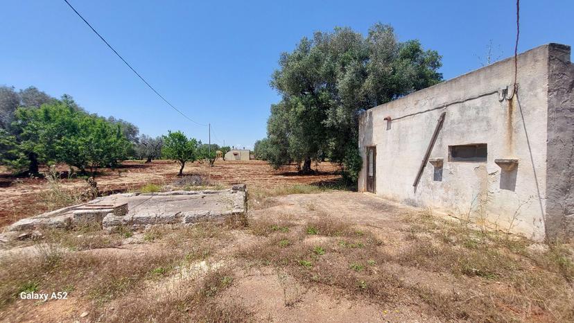 Rustico, San Vito dei Normanni — foto 5 di 5