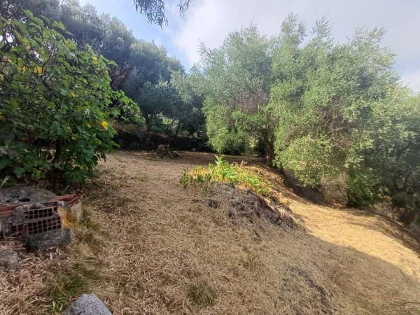 Chalet in Contrada Scafa, Capo d'Orlando