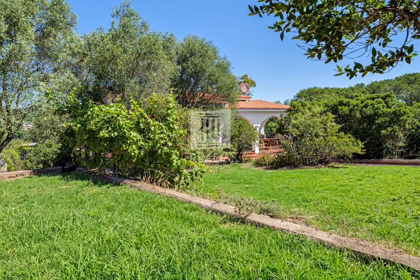 Casa indipendente in Viale Concas Caddinas 11, Golfo Aranci