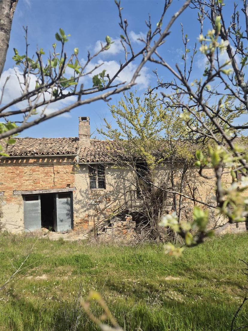Rustico in Via delle Serre, Fratte Rosa — foto 3 di 5