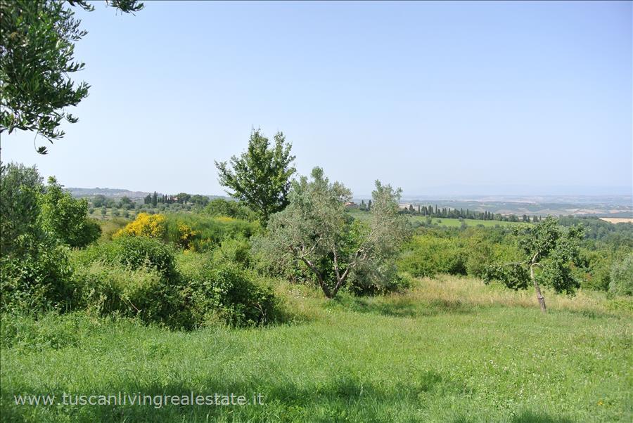 Casale in Sp19, Sarteano
