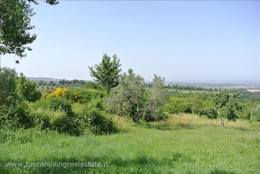 Casale in Sp19, Sarteano