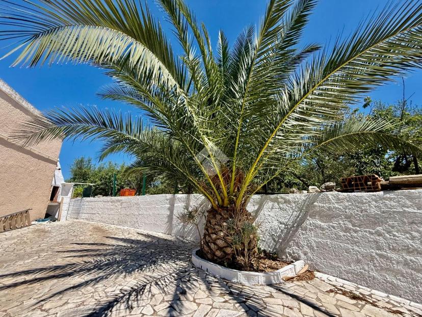 Casa indipendente in Contrada Padresergio, Monopoli