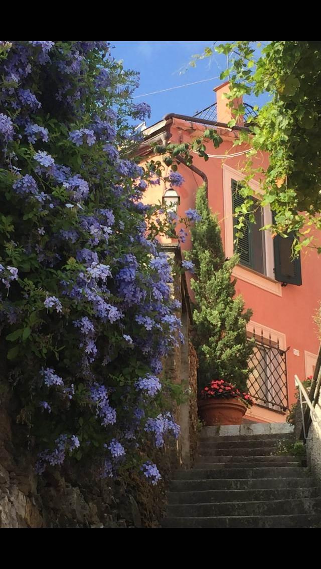 Villa, Chiavari — foto 4 di 5