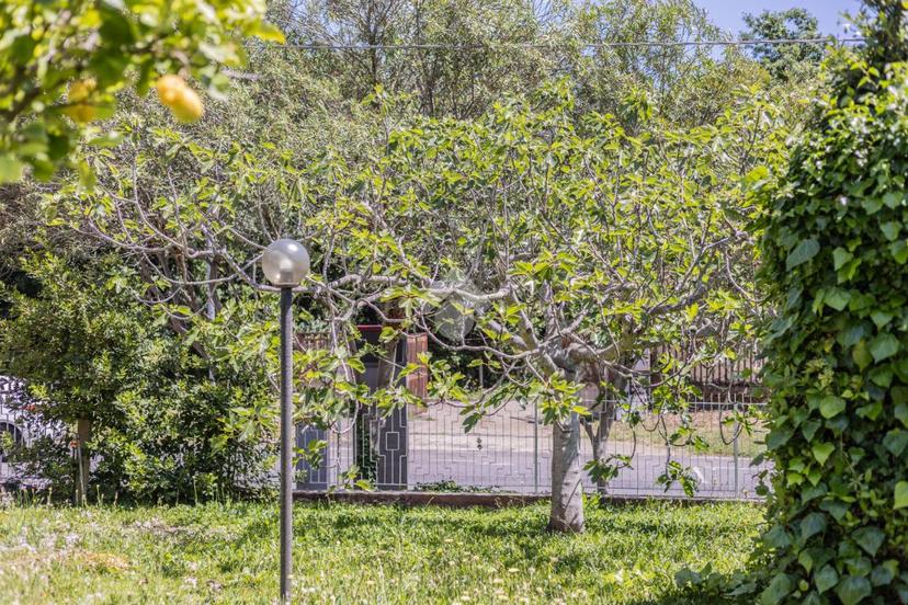 Villa in Via Alessandro Scarlatti 41, Cerveteri — foto 5 di 5